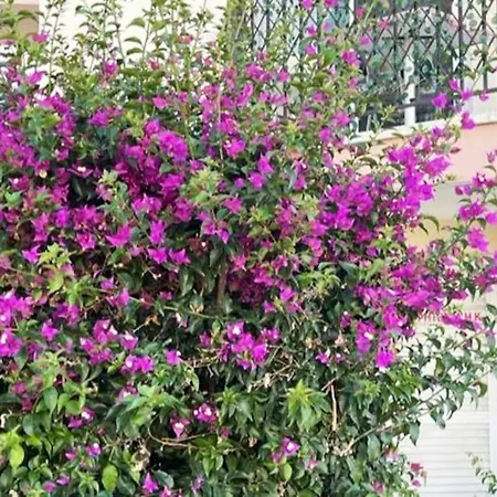 With A Luxurious Location Near The Sea Apartman Paphos
