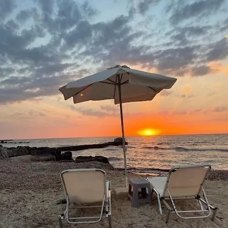 With A Luxurious Location Near The Sea