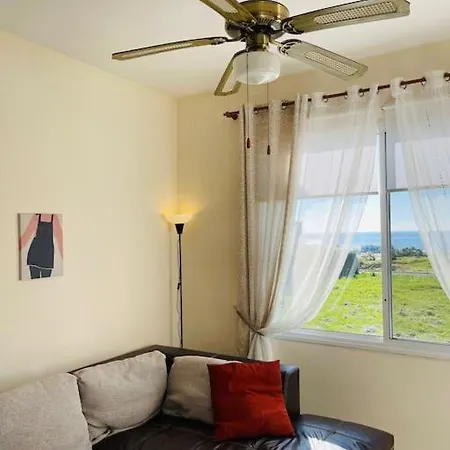 With A Luxurious Location Near The Sea *